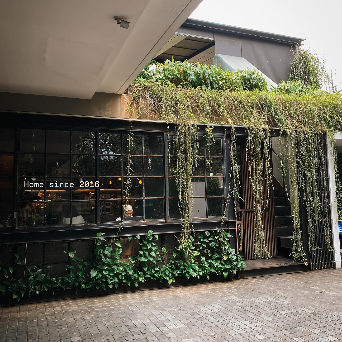 Fillmore Coffee